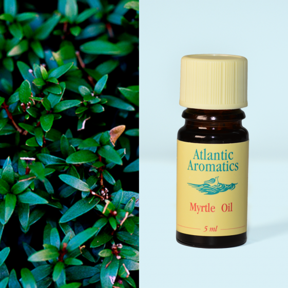 Atlantic Aromatics, Mytrle 5ml Default Title