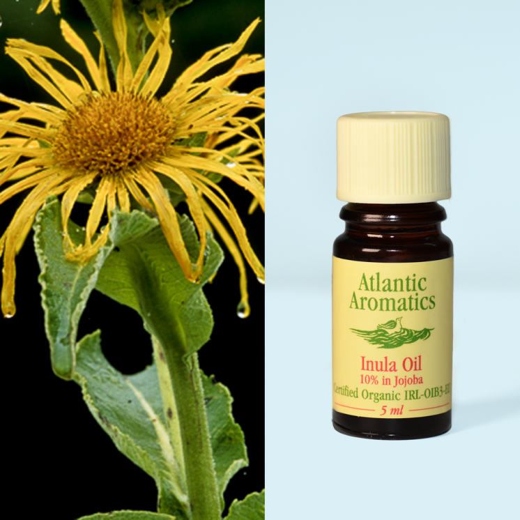 Atlantic Aromatics, Inula 5ml Default Title