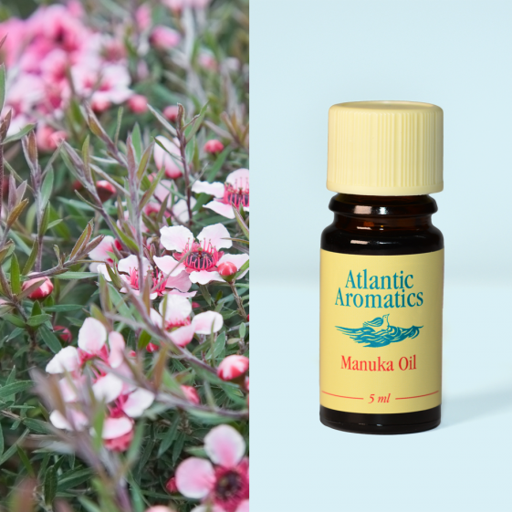 Atlantic Aromatics, Manuka 5ml Default Title