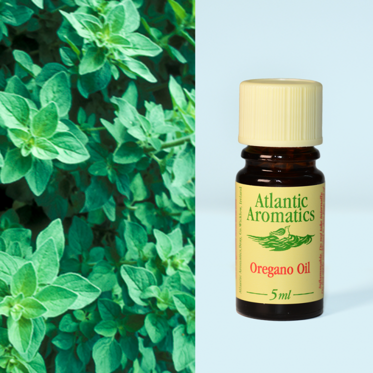 Atlantic Aromatics, Oregano Oil 5ml Default Title