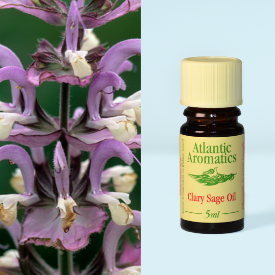 Atlantic Aromatics, Clary Sage 5ml Default Title