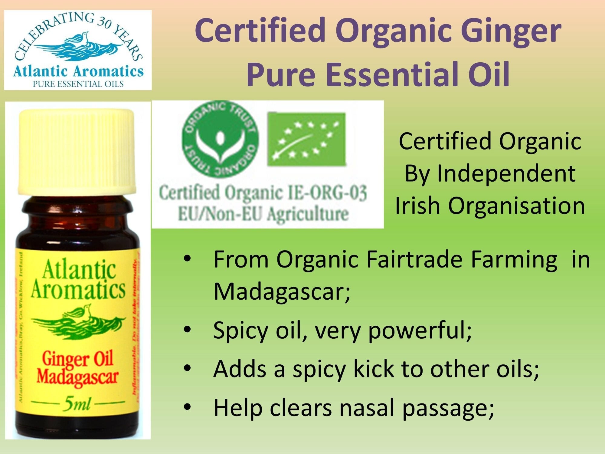 Atlantic Aromatics, Ginger 5ml Default Title