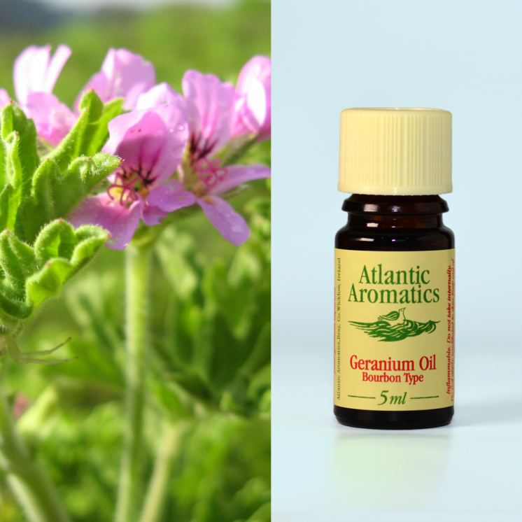 Atlantic Aromatics, Geranium Bourbon 5ml Default Title