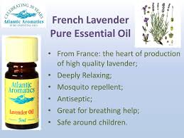 Atlantic Aromatics, Lavender 5ml Default Title