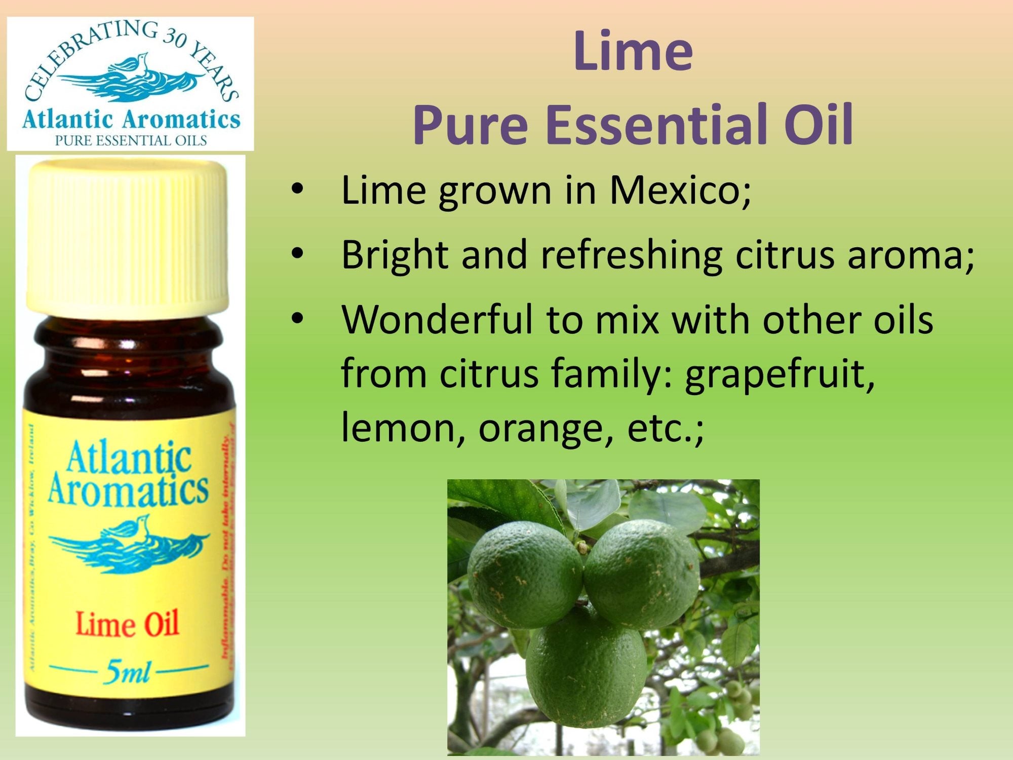 Atlantic Aromatics, Lime 5ml Default Title