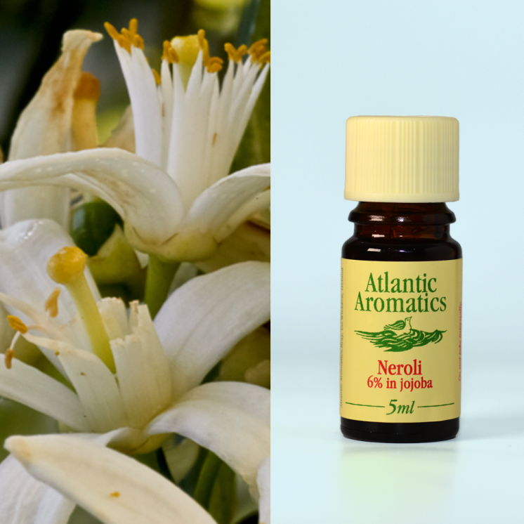 Atlantic Aromatics, Neroli 6% in Jojoba 5ml Default Title