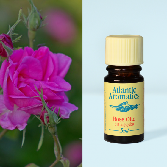 Atlantic Aromatics, Rose Otto 5% 5ml Default Title