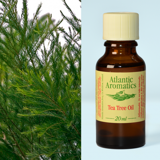 Atlantic Aromatics, Tea Tree Organic 20ml Default Title