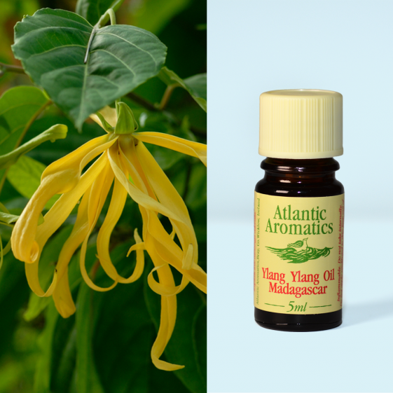 Atlantic Aromatics, Ylang Ylang 5ml Default Title