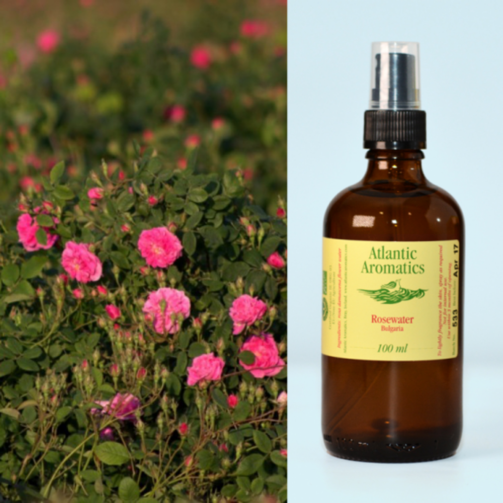 Atlantic Aromatics, Rose Water