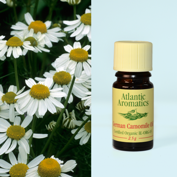 Atlantic Aromatics, Camomile German Organic 2.5g Default Title