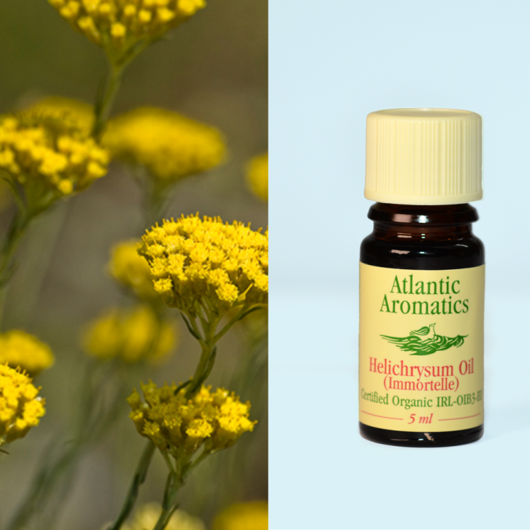 Atlantic Aromatics, Immortelle 5ml Default Title