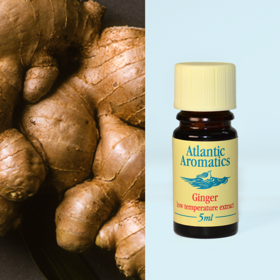 Atlantic Aromatics, Ginger CO2 5ml Default Title