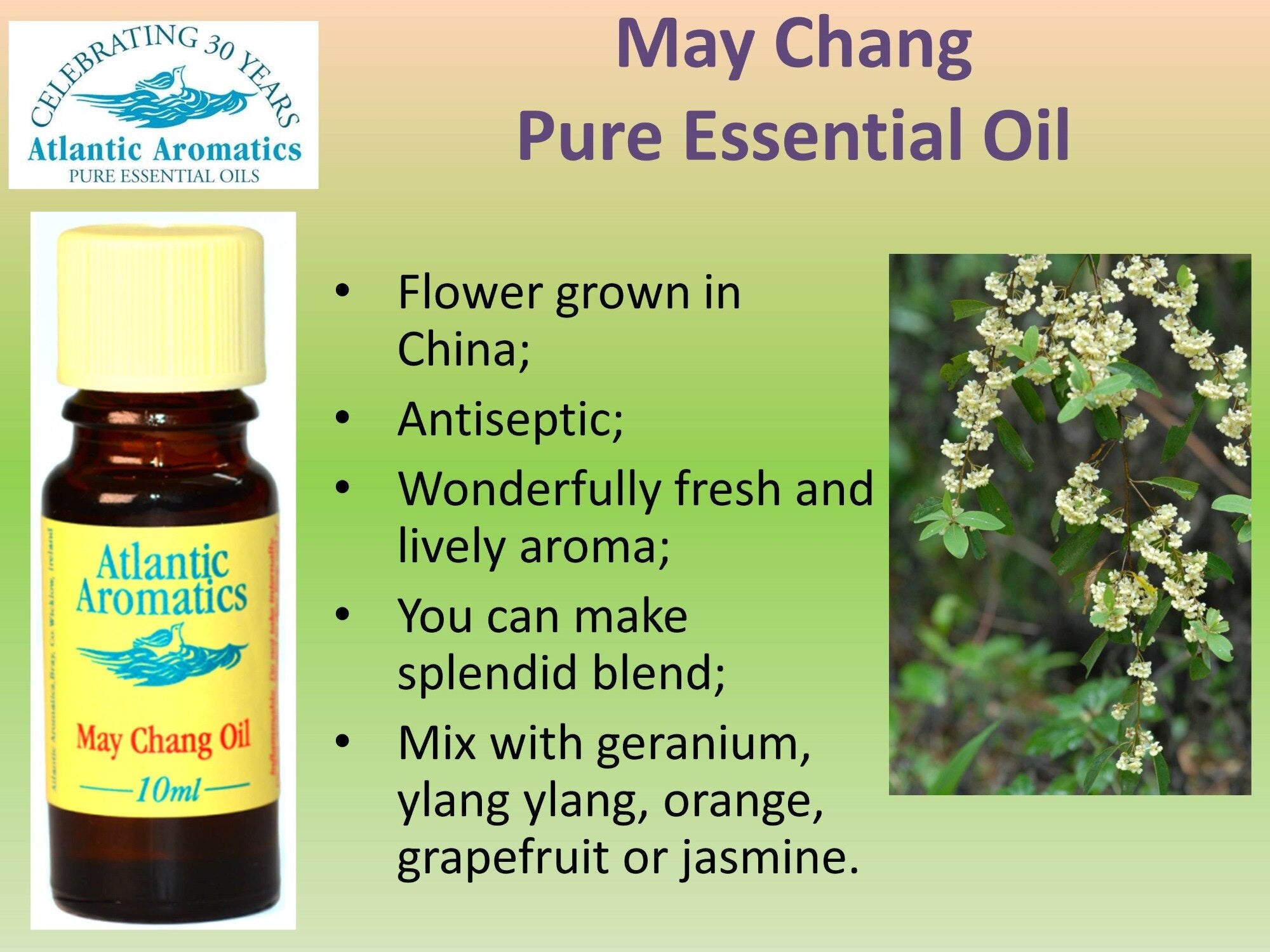 Atlantic Aromatics, May Chang 10ml Default Title