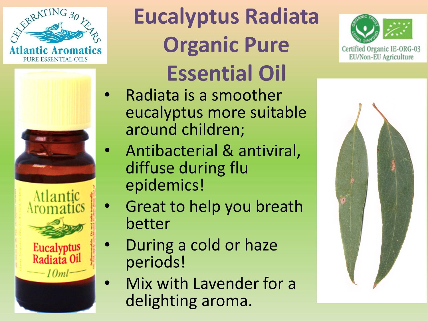 Atlantic Aromatics, Eucalyptus Radiata 10ml Default Title