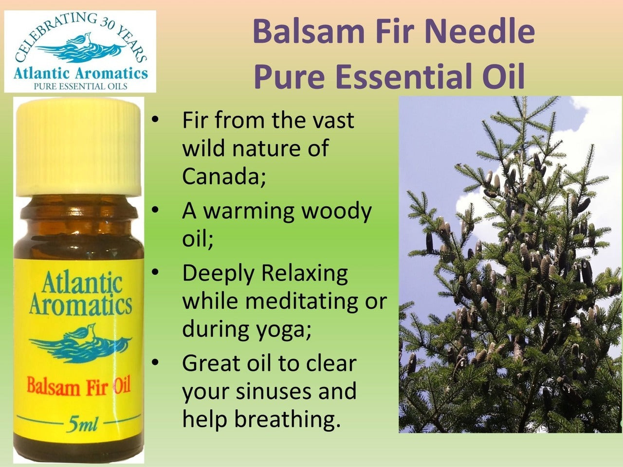 Atlantic Aromatics, Balsam Fir 5ml Default Title