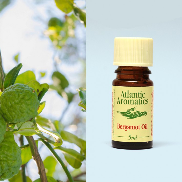 Atlantic Aromatics, Bergamot Organic 5ml Default Title